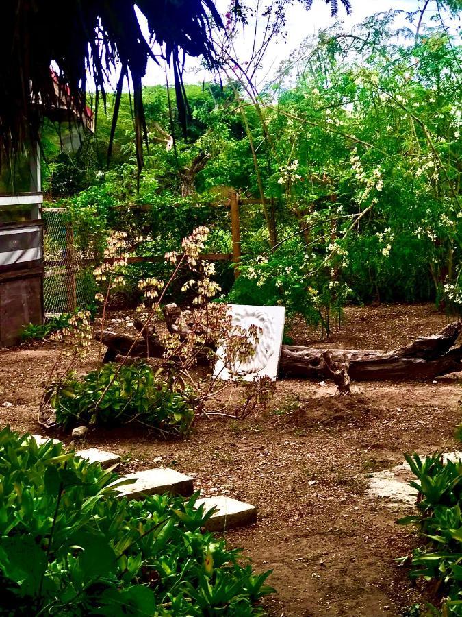 Villa Moringa Ingadi Treasure Beach Exterior foto