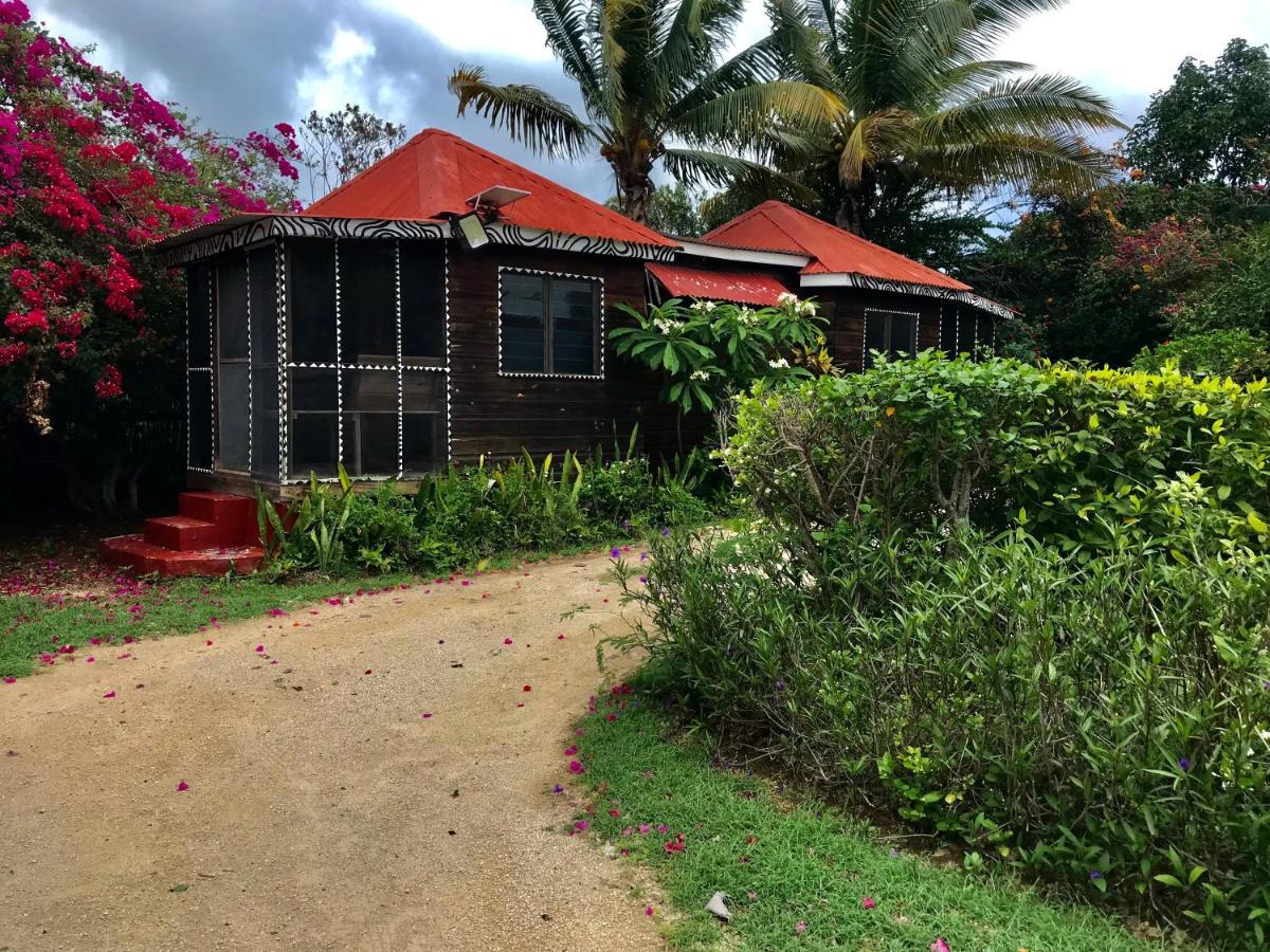 Villa Moringa Ingadi Treasure Beach Exterior foto