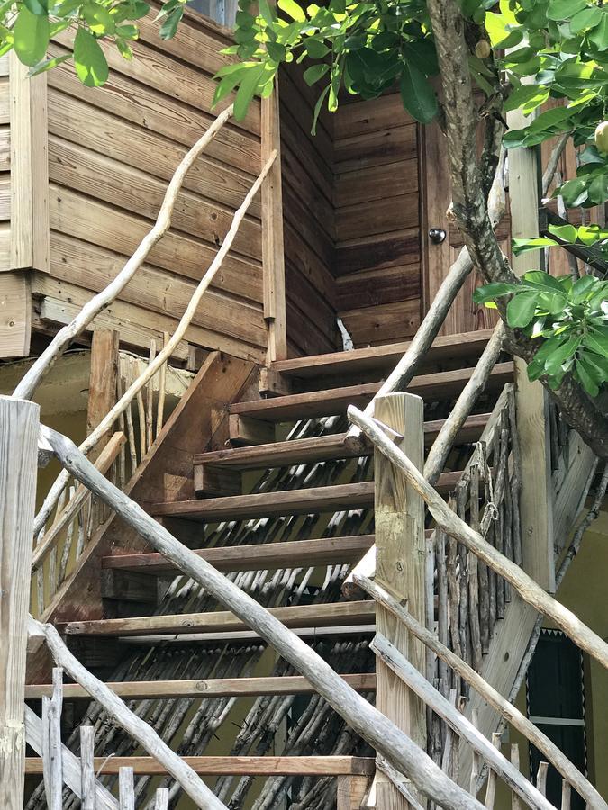 Villa Moringa Ingadi Treasure Beach Exterior foto