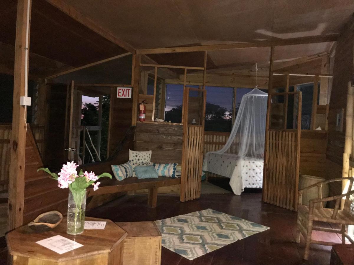 Villa Moringa Ingadi Treasure Beach Exterior foto